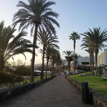 דירה Vina Del Mar *