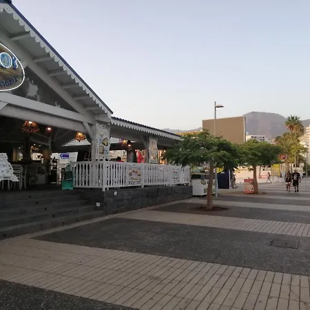 Апартаменты сozy In Americas